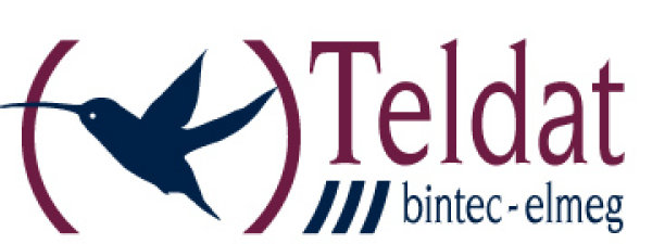 teldat_finales_Logo_RGB